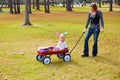 Kid girl and mother walking in park with pull cart