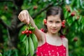 Kid girl offering cherry fresh picked from the tree