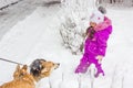 Kid girl playing with corgi dog on white snowy winter day. Royalty Free Stock Photo