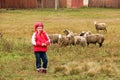 Kid girl shepherdess happy with flock of sheep