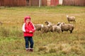 Kid girl shepherdess happy with flock of sheep