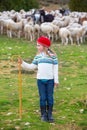 Kid girl shepherdess happy with flock of sheep and stick