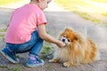 Kid girl training, playing with dog on the street. baby teaches spitz obedience. child walking with pet on a leash. spitz performi Royalty Free Stock Photo