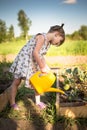 Kid girl watering seedlings garden, kitchen garden