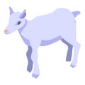 Kid goat icon, isometric style Royalty Free Stock Photo
