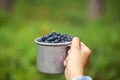 Kid hand holding bowl of freshly picked wild blueberries against bokeh green forest background Royalty Free Stock Photo