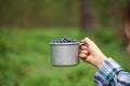 Kid hand holding bowl of freshly picked wild blueberries against bokeh green forest background Royalty Free Stock Photo