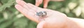 kid hand holding cicada cicadidae a black large flying chirping insect or bug or beetle on arm. child researcher exploring animals Royalty Free Stock Photo