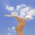 Hand holding a model airplane Royalty Free Stock Photo