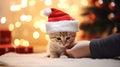 Kid hand petting cute ginger kitten wearing santa hat with Christmas tree on background, Christmas and cat concept. Generative AI