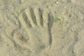 Kid hand prints on the sand neat a little plant