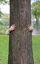 Kid hands embracing nature. Child hug a tree in the park Royalty Free Stock Photo