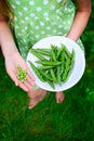 Kid hands holding green Peas Royalty Free Stock Photo