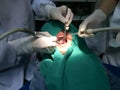 Kid having mouth checkup in dental clinic