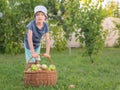 Kid helps his parents to do chores. Harvesting time. Happy childhood concept. Boy with the basket full of apples.
