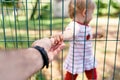 Kid holding an adult's hand while standing behind a fence in the park Royalty Free Stock Photo