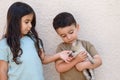 Kid holding baby cat. Little children with a new baby cute kitten. Royalty Free Stock Photo