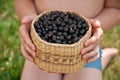 Kid holding a basket of black currant Royalty Free Stock Photo