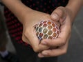 A kid holding and squeezing a colorful stress relief grape balls Royalty Free Stock Photo