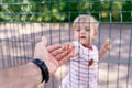 Kid holds an adult hand while standing behind a fence Royalty Free Stock Photo