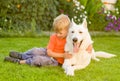 Kid hugging White Swiss Shepherd dog together on green grass Royalty Free Stock Photo