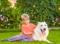 Kid hugging White Swiss Shepherd dog together on green grass Royalty Free Stock Photo