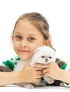 Kid hugs British lop-eared kitten