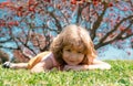 Kid laying on grass. Autumn kids, fall leaves.