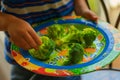 kid leaving behind uneaten broccoli on a colorful dinner plate