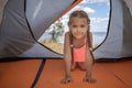 Kid looking into the tent at campsite on beach among wild forest, active summertime, explore local Royalty Free Stock Photo