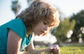 Kid with magnifying glass lying in grass. Happy smiling child boy relaxing on the grass. Cute kid boy enjoying on grass