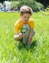 Kid on the meadow looking the grass with a magnifying glass.