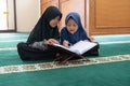 Kid muslim reading quran