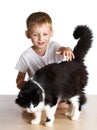 Kid pats a cat Royalty Free Stock Photo