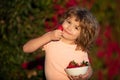 Kid picking and eating strawberry. Happy little boy eats strawberries. Royalty Free Stock Photo