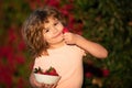 Kid picking and eating strawberry. Happy little boy eats strawberries. Royalty Free Stock Photo