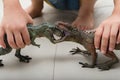 Kid playing with Carcharodontosaurus and tyrannosaurus toys fighting