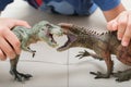 Kid playing with Carcharodontosaurus and tyrannosaurus toys fighting