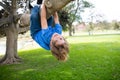 Kid playing and climbing a tree and hanging upside down. Teen boy playing in a park.