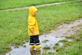 Little boy standing in a muddy puddle on a rainy fall day Royalty Free Stock Photo