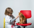kid playing vet doctor with cat isolated on white. Little girl is try profession of doctor. Ginger cat pet is sitting on Royalty Free Stock Photo