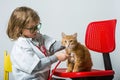 kid playing vet doctor with cat  on white. Little girl is try profession of doctor. Ginger cat pet is sitting on Royalty Free Stock Photo