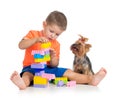 Kid plays with building blocks toys. Dog looks at boy. Royalty Free Stock Photo