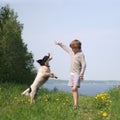 Kid plays with dog Royalty Free Stock Photo