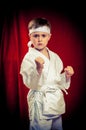 Kid practicing karate Royalty Free Stock Photo