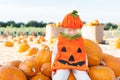 Kid at pumpkin patch Royalty Free Stock Photo