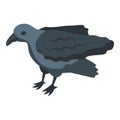 Kid raven icon isometric vector. Crow bird Royalty Free Stock Photo