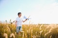 The kid runs with a toy plane. Son dreams of flying. Happy child, boy, runs on the sun playing with a toy airplane on Royalty Free Stock Photo