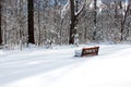 A kid's bench