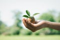 Kid's hand holding repuposed eggshell transformed into fertilizer pot. Gyre Royalty Free Stock Photo